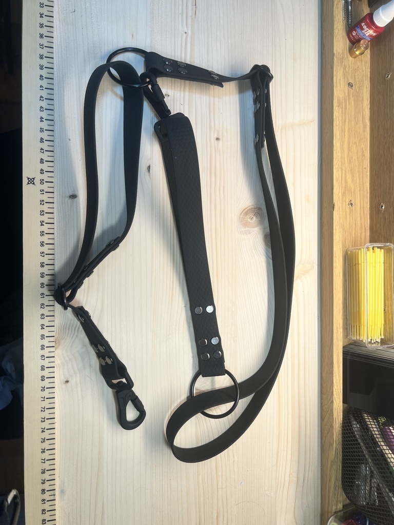 Harnais / Beaudrier sans ligne de chien