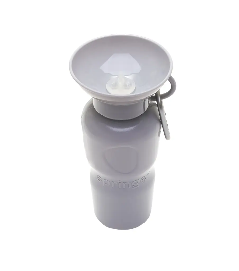 Springer 650 ml - Bouteille de voyage