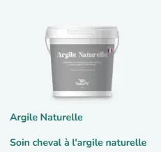 [396] ARGILE NATURELLE 3KG SEAU 