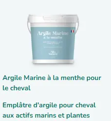 [844] ARGILE MARINE A LA MENTHE 3KG SEAU