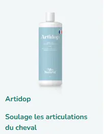 [453] ARTIDOP FLACON 1L