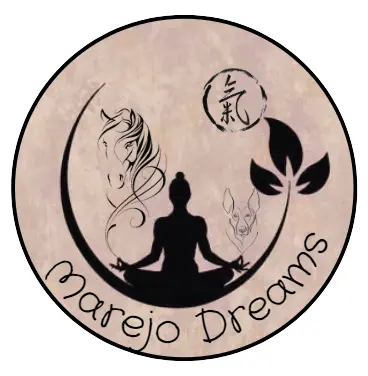 Marejo Dreams